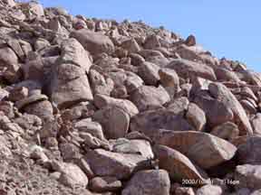 Image of 10310002.jpg