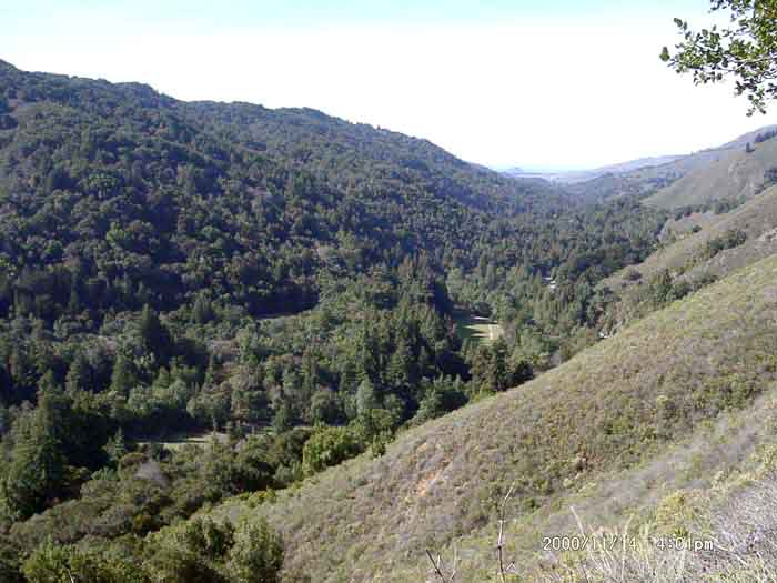 Image of 11040009.jpg