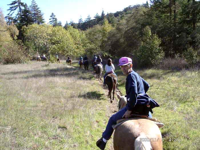 Image of 11050003.jpg