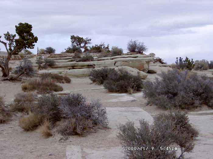 Image of 11090024.jpg