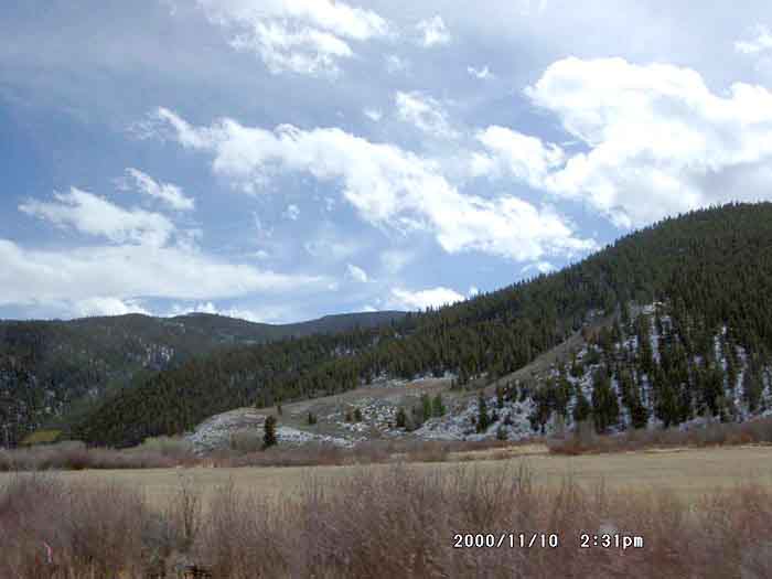 Image of 11100016.jpg